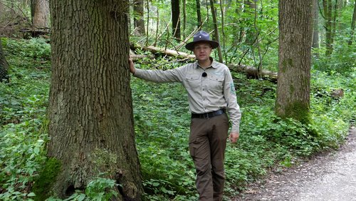 Die Ranger Story: Die Eiche