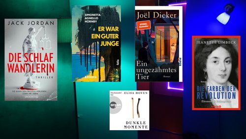 Der LeseWurm: "Er war ein guter Junge" - Roman, "Spaß am Lesen Verlag"