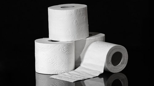 Die Klopapier-Chroniken