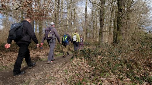WanderBlog: Feuerroute im Naturpark Rheinland
