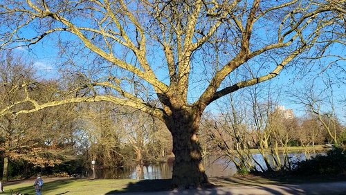 Schönes Gelsenkirchen - Bulmker Park