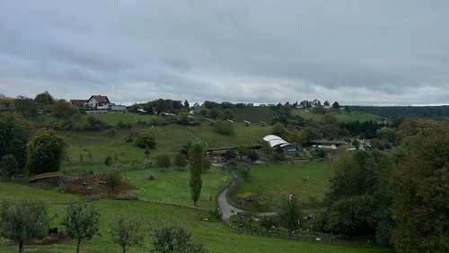 Hier und Jetzt: Wandern im Rhein-Sieg-Kreis, Bundesviertel Bonn, Rheinauen-Flohmarkt