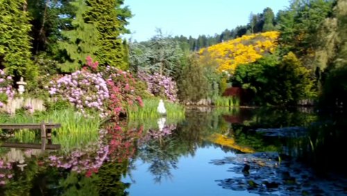 Überraschung am Teich